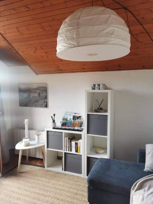 Duplex Cocooning Avec Vue Lac Et Montagnes Savines Eksteriør billede